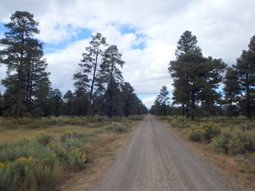 GDMBR: We're riding in forest country and the air temperature just went up.